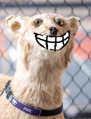 Illustration for article titled When your boys win their bowl game